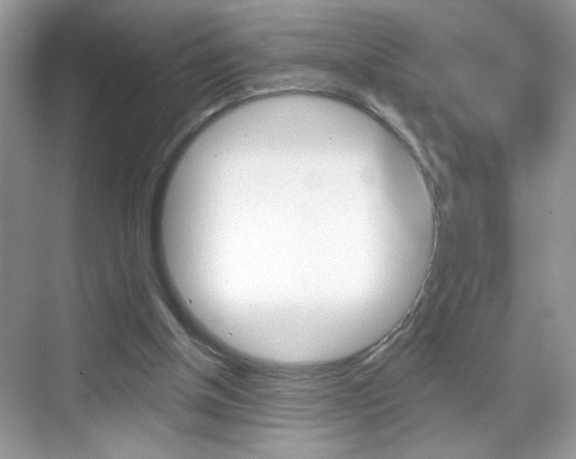 X0000069360154200605120925