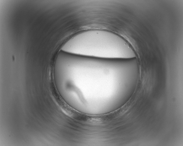 X0000069360157200605120925