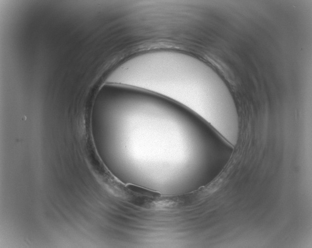 X0000069360158200605120925