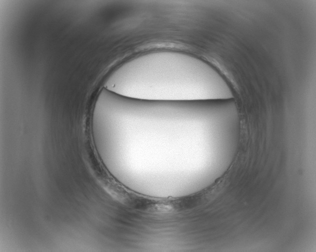 X0000069360159200605120925