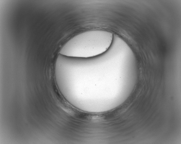 X0000069360165200605120925