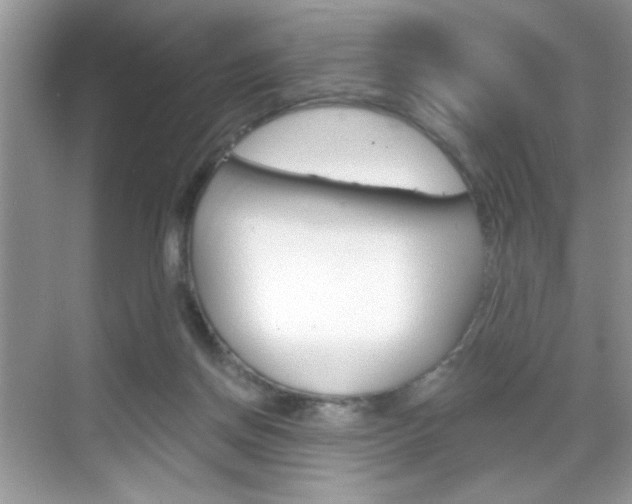 X0000069360166200605120925