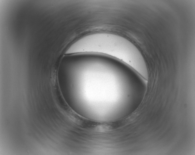 X0000069360168200605120925