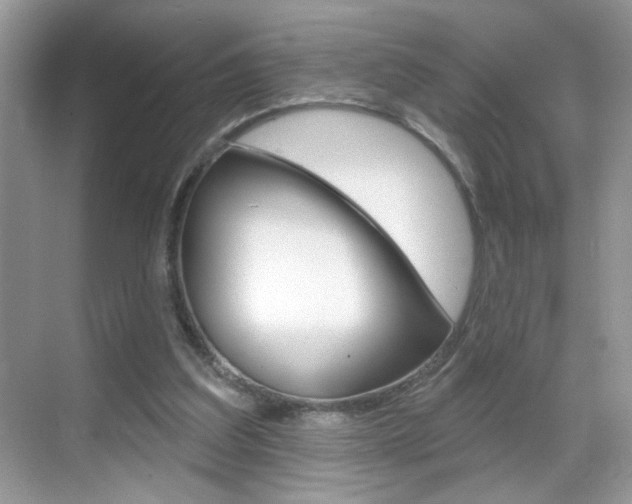 X0000069360203200605120925