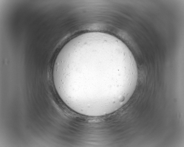 X0000069360208200605120925