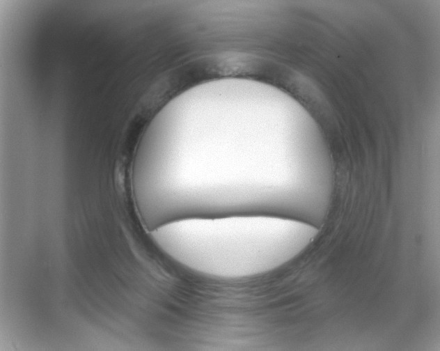 X0000069360214200605120925