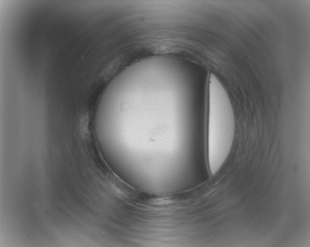 X0000069360219200605120925