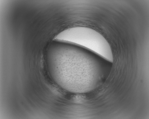 X0000069360223200605120924