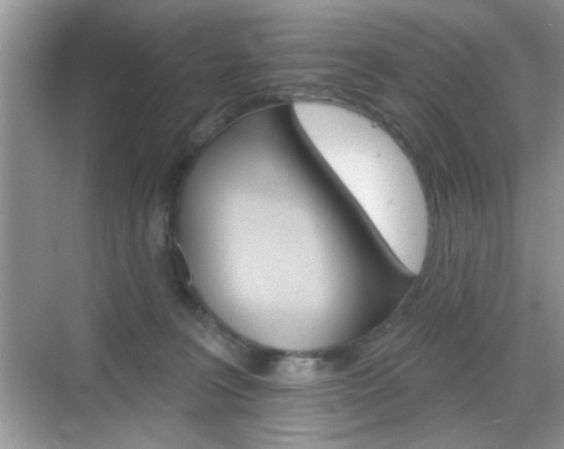 X0000069360227200605120924