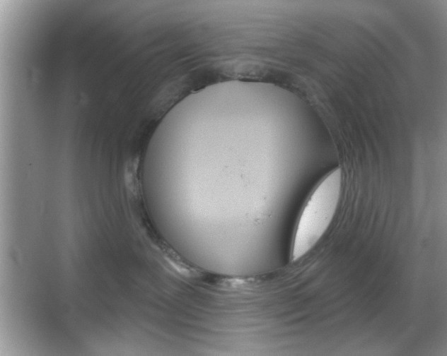 X0000069360239200605120924