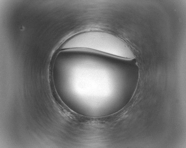 X0000069360244200605120923