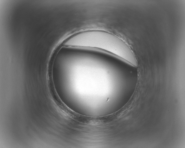 X0000069360248200605120923