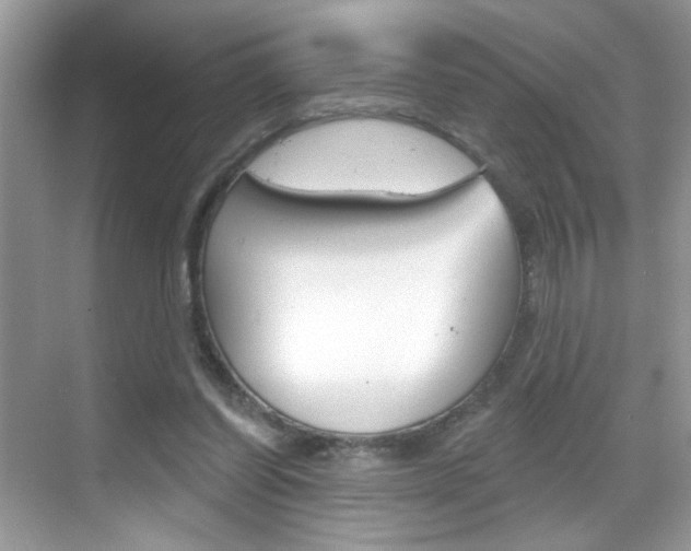 X0000069360254200605120924