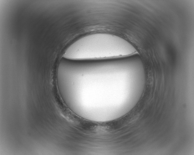 X0000069360255200605120924