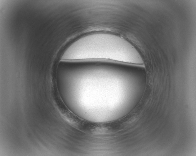 X0000069360256200605120924