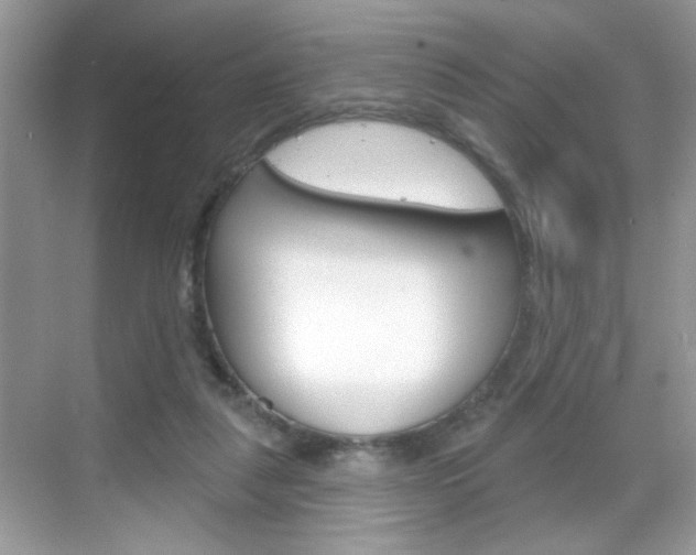 X0000069360259200605120924
