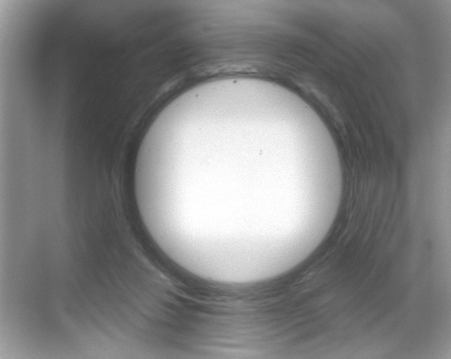X0000069360260200605120924