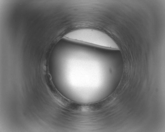 X0000069360264200605120924