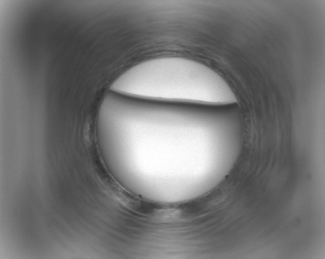 X0000069360266200605120924