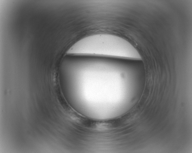X0000069360268200605120924