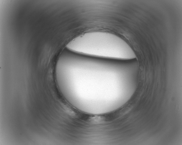 X0000069360269200605120924