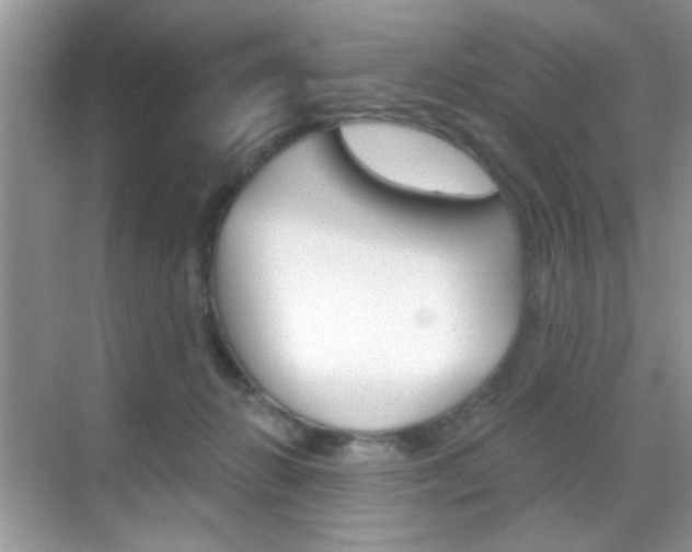 X0000069360270200605120924
