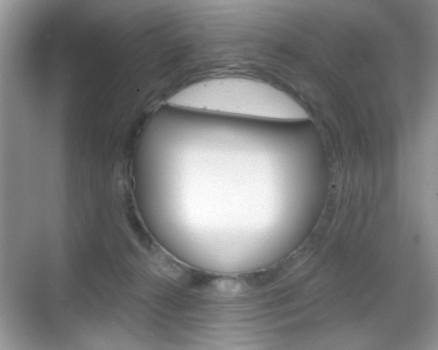 X0000069360272200605120924