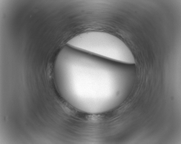 X0000069360273200605120924