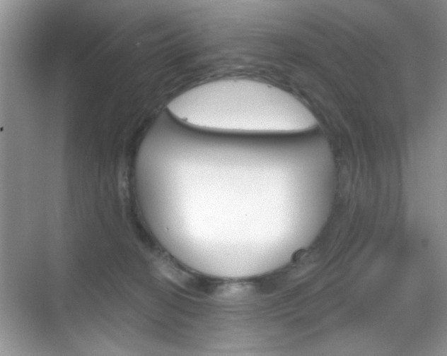 X0000069360274200605120924
