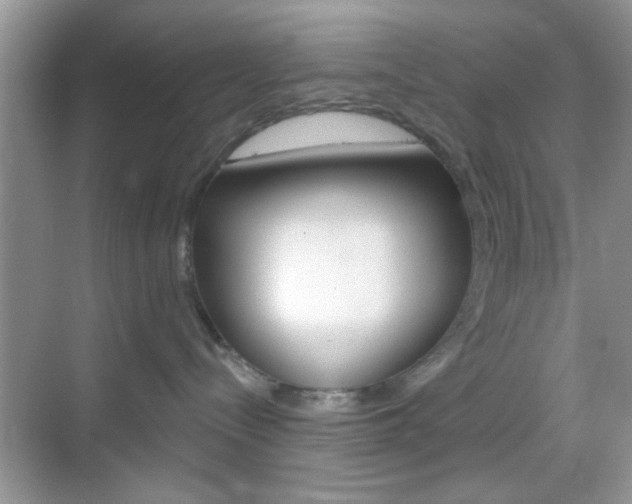 X0000069360288200605120924