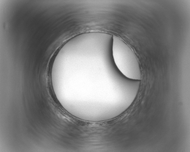 X0000069360290200605120923