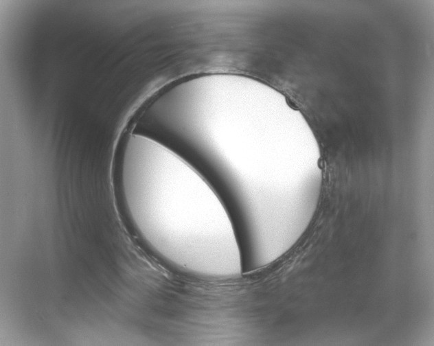 X0000069360292200605120923