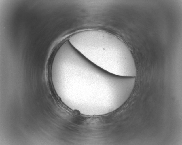 X0000069360294200605120923