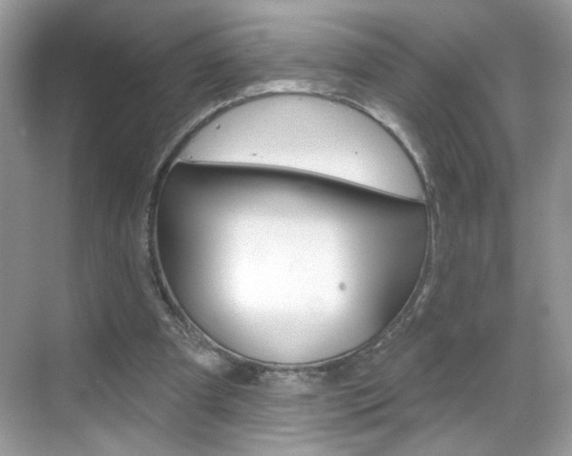 X0000069360297200605120923
