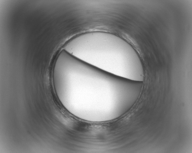 X0000069360298200605120923