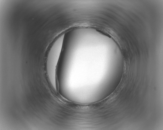 X0000069360301200605120923