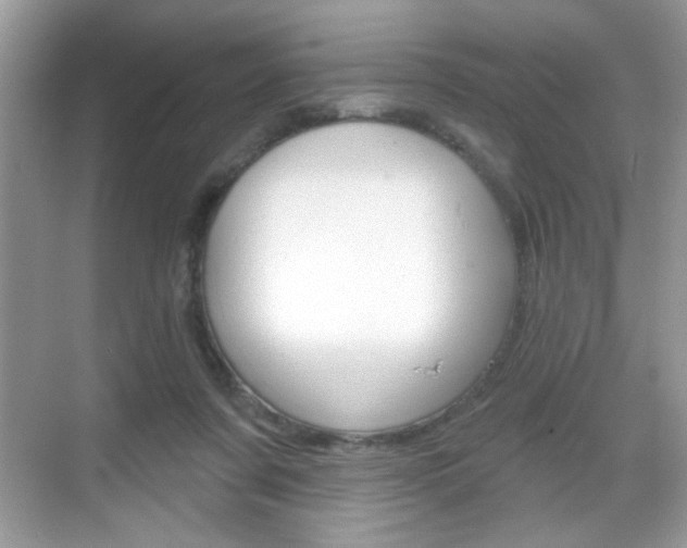 X0000069360311200605120923
