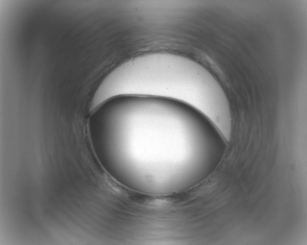 X0000069360313200605120923
