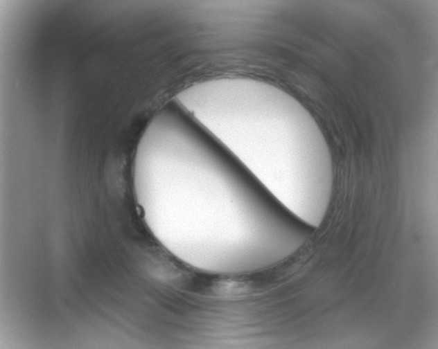 X0000069360319200605120923
