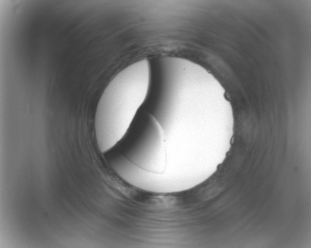 X0000069360328200605120923