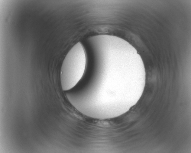 X0000069360332200605120923