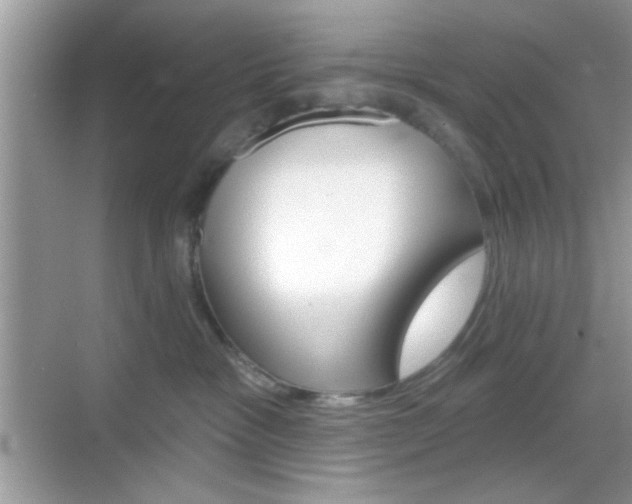 X0000069360333200605120923