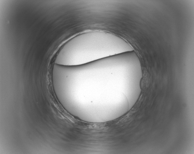 X0000069360338200605120922