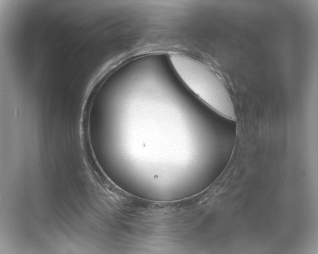 X0000069360340200605120922