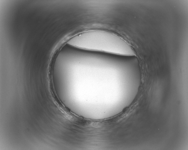 X0000069360341200605120922