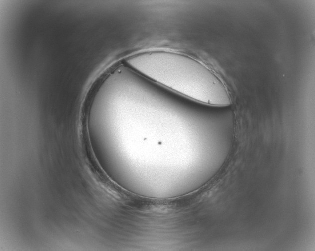 X0000069360344200605120922