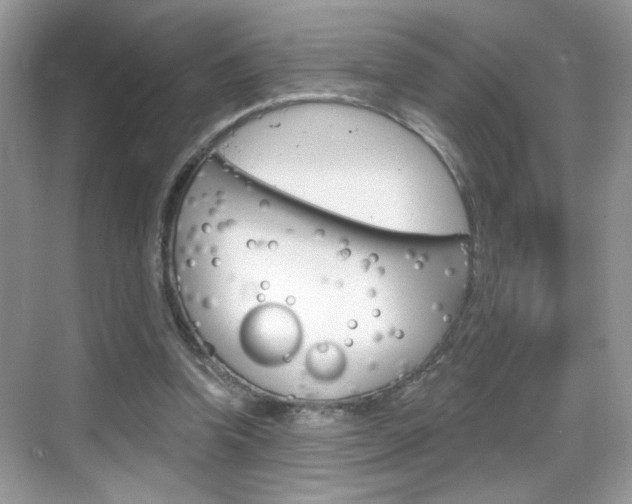 X0000069360346200605120922