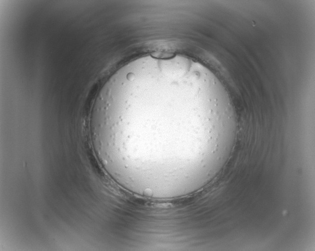 X0000069360355200605120922