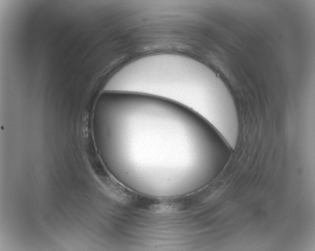 X0000069360356200605120922