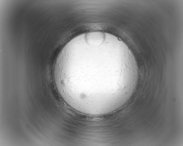 X0000069360359200605120922